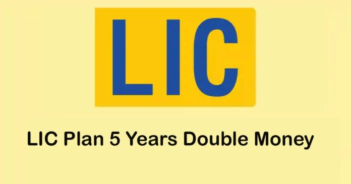 LIC Policy for Doubling Your Money